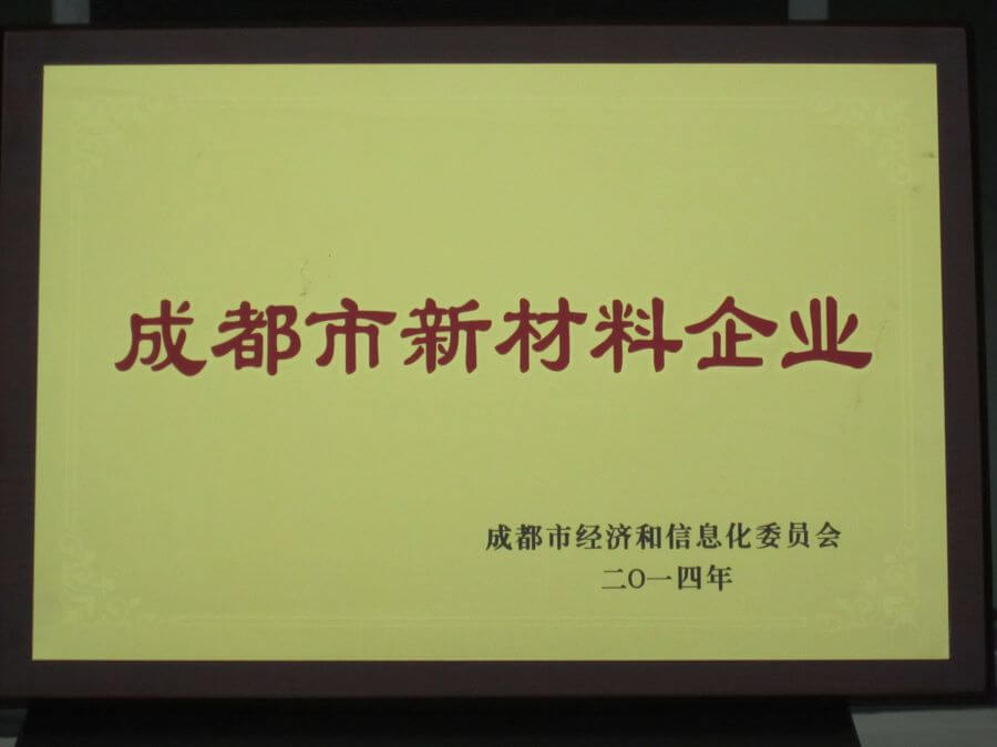 2021年战略合作奖